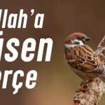 Allaha kÜsen serÇe
