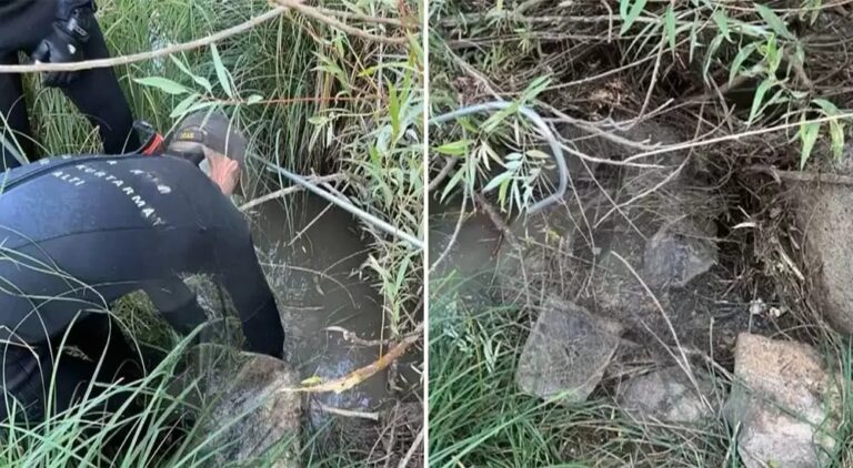 Narin'in dereden Çıkarılma anları