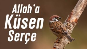 Allaha kÜsen serÇe